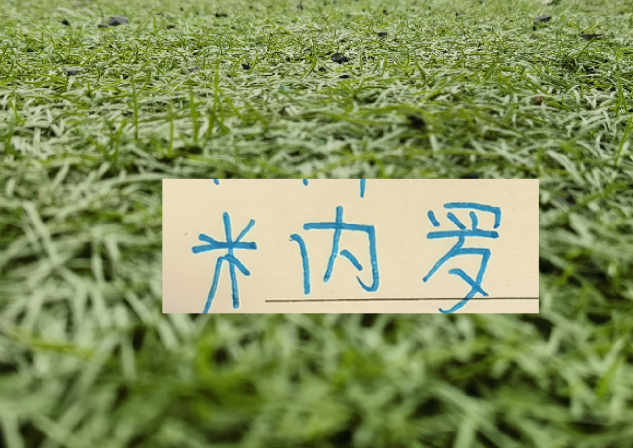 2026世界杯投注-马纳法五月比赛报销！